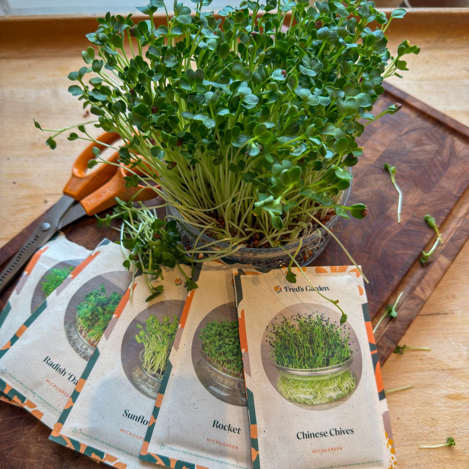 Kiemschaal voor microgroenten
